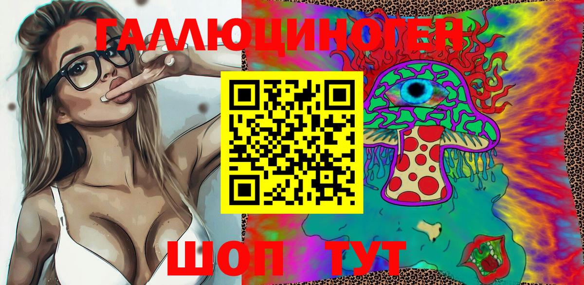 Галлюциногенные грибы Psilocybine cubensis Назрань