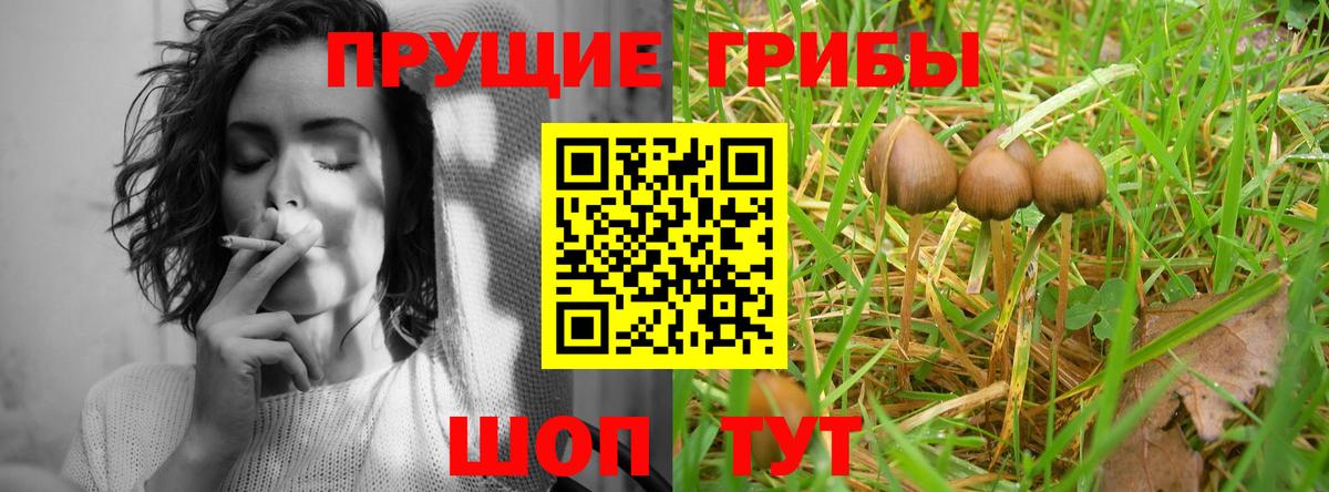 Псилоцибиновые грибы Magic Shrooms  Вход с VPN  Назрань 